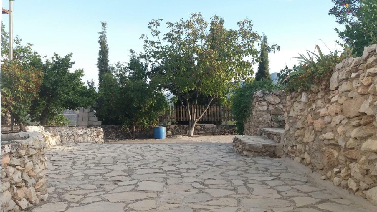 Pegalajar Cueva Rural La Nogueraゲストハウス エクステリア 写真